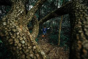 BIB: 
                            <button type="button" onclick="openModal(25669017)" class="btn btn-primary btn-sm float-right btn-popup" data-toggle="modal" data-target=".modal-high-quality">
                        <i class="fas fa-shopping-cart"></i> Add to Cart
                    </button>
                                            <button type="button" onclick="isThisMe(25669017, true)" class="btn btn-success btn-sm float-right btn-popup btn-isme hidden" data-toggle="tooltip" data-placement="bottom" title="นี่คือรูปของคุณใช่ไหม คลิกที่นี่เพื่อเอาเข้าอัลบั้ม">
                        <i class="fas fa-plus"></i> Add to album
                    </button>
                    <button type="button" onclick="isThisMe(25669017, false)" class="btn btn-warning btn-sm float-right btn-popup btn-isnotme hidden">
                        <i class="fas fa-ban"></i> Remove from album
                    </button>